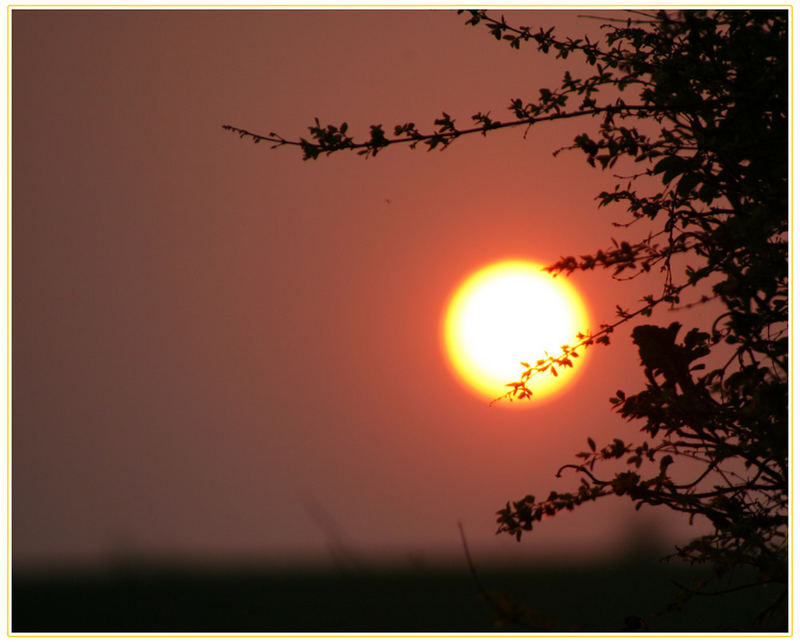 schwarz, rot, gold ... (die Sonne geht unter - aber morgen wieder auf ;-)))