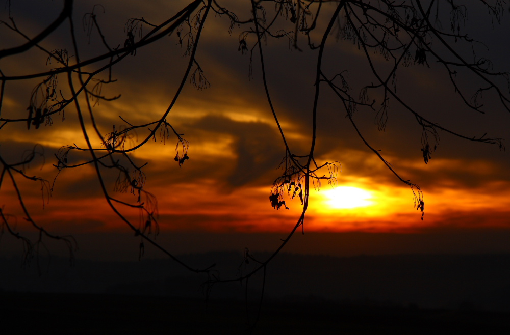 Schwarz-Rot-Gold