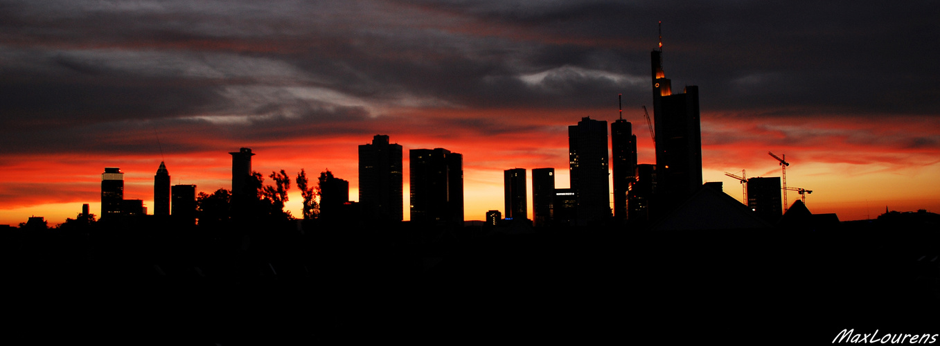 schwarz rot gold! frankfurt