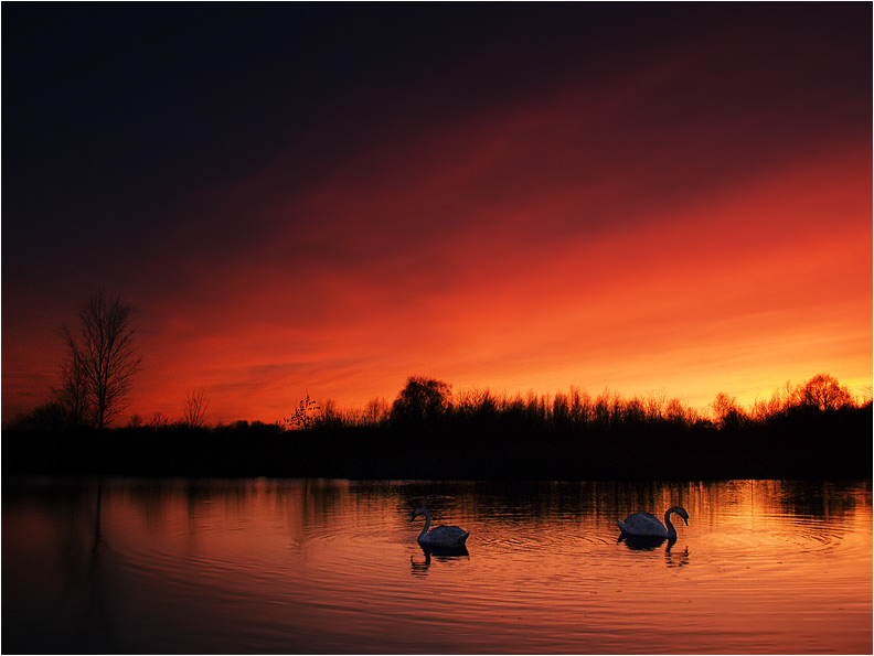 Schwarz-Rot-Gold oder Abendrot am See