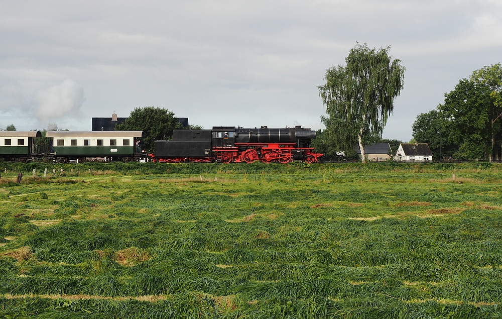 schwarz-rot-grün