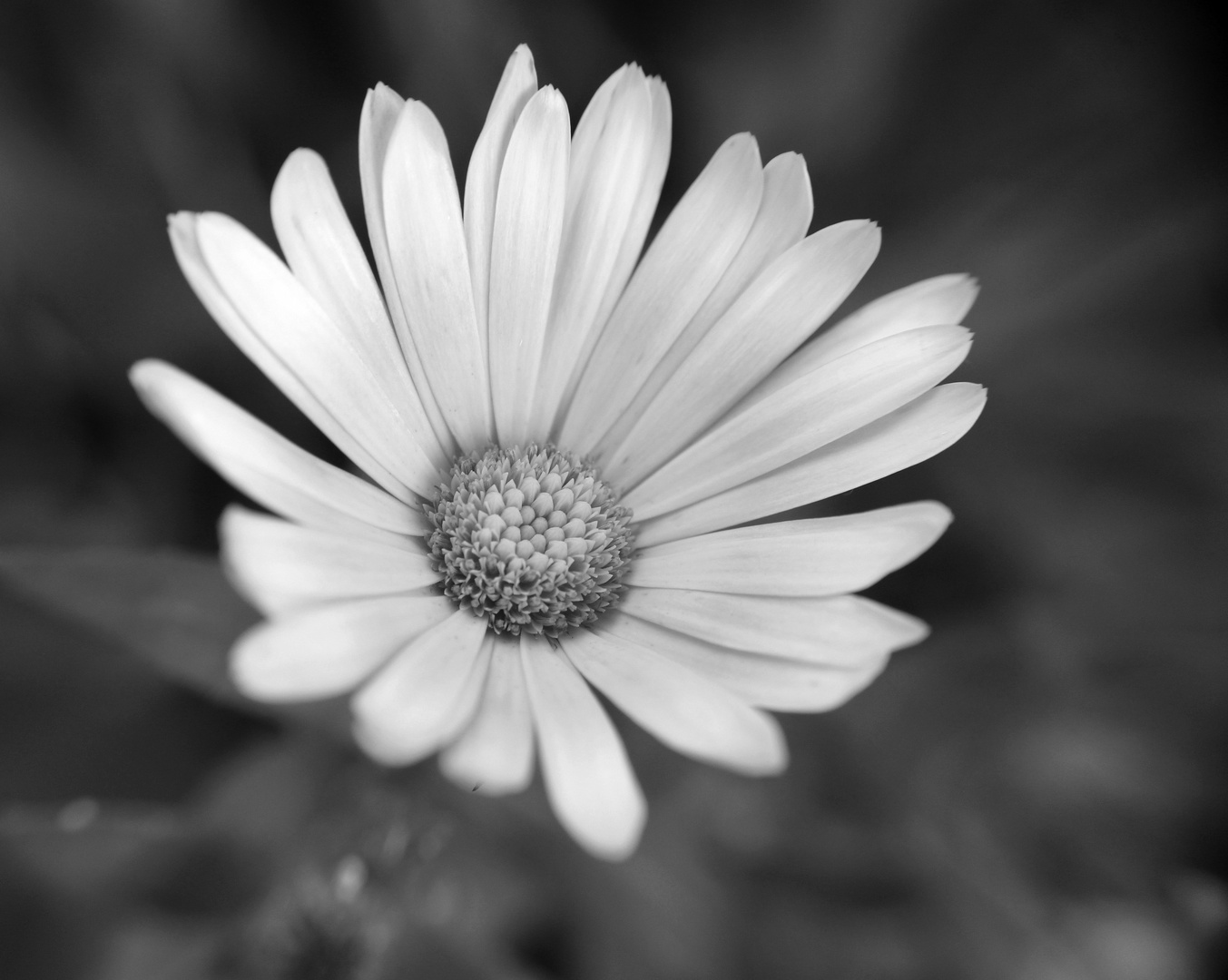 Schwarz-Weiß- Und Blaugrüne Badezimmerideen / Schwarz und weiß Drucke