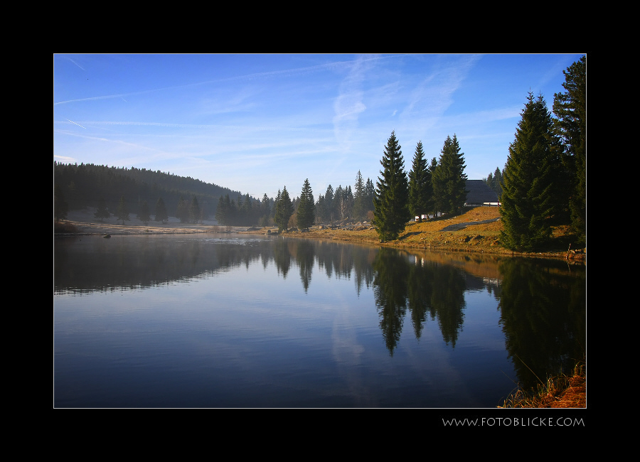 Schwarz Wald