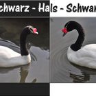 Schwarz - Weis