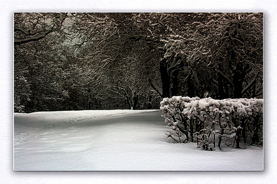 Schwarz-Weis-Winter