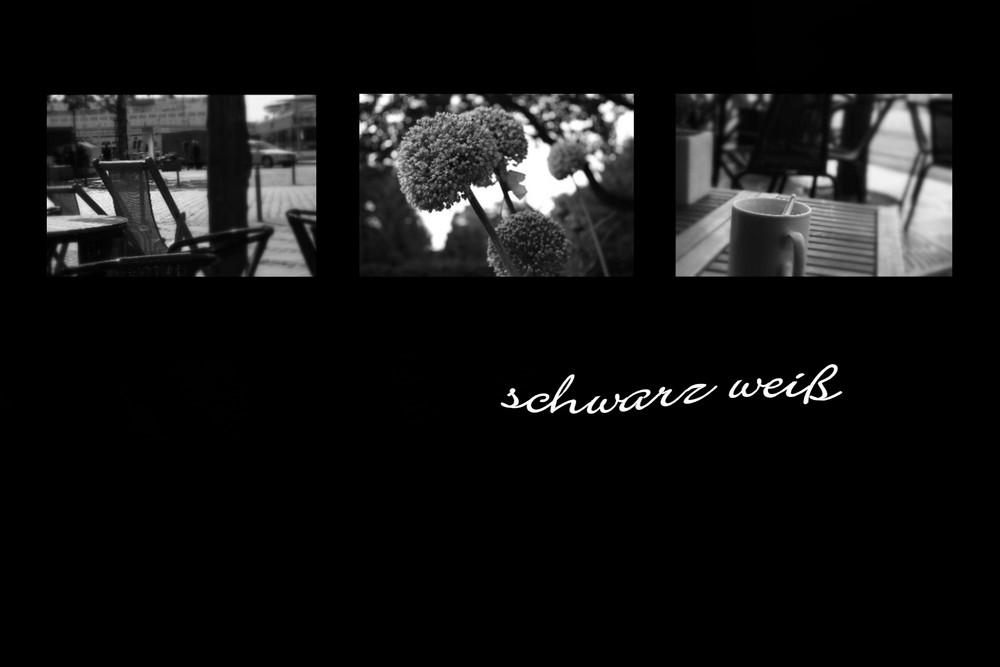 schwarz weiß