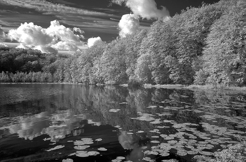 Schwarz-weiss am Schwarzen See