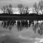 Schwarz weiss am See, black and white at the lake,  blanco y negro en el lago,