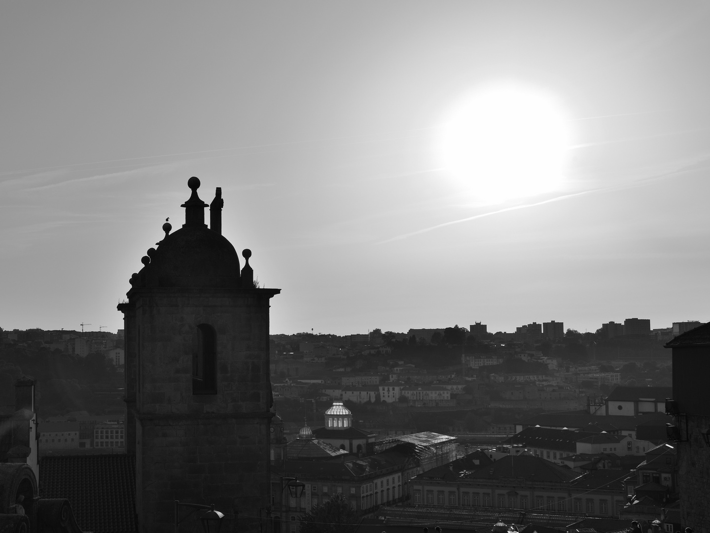 Schwarz weiß, black friday, blanco y negro 