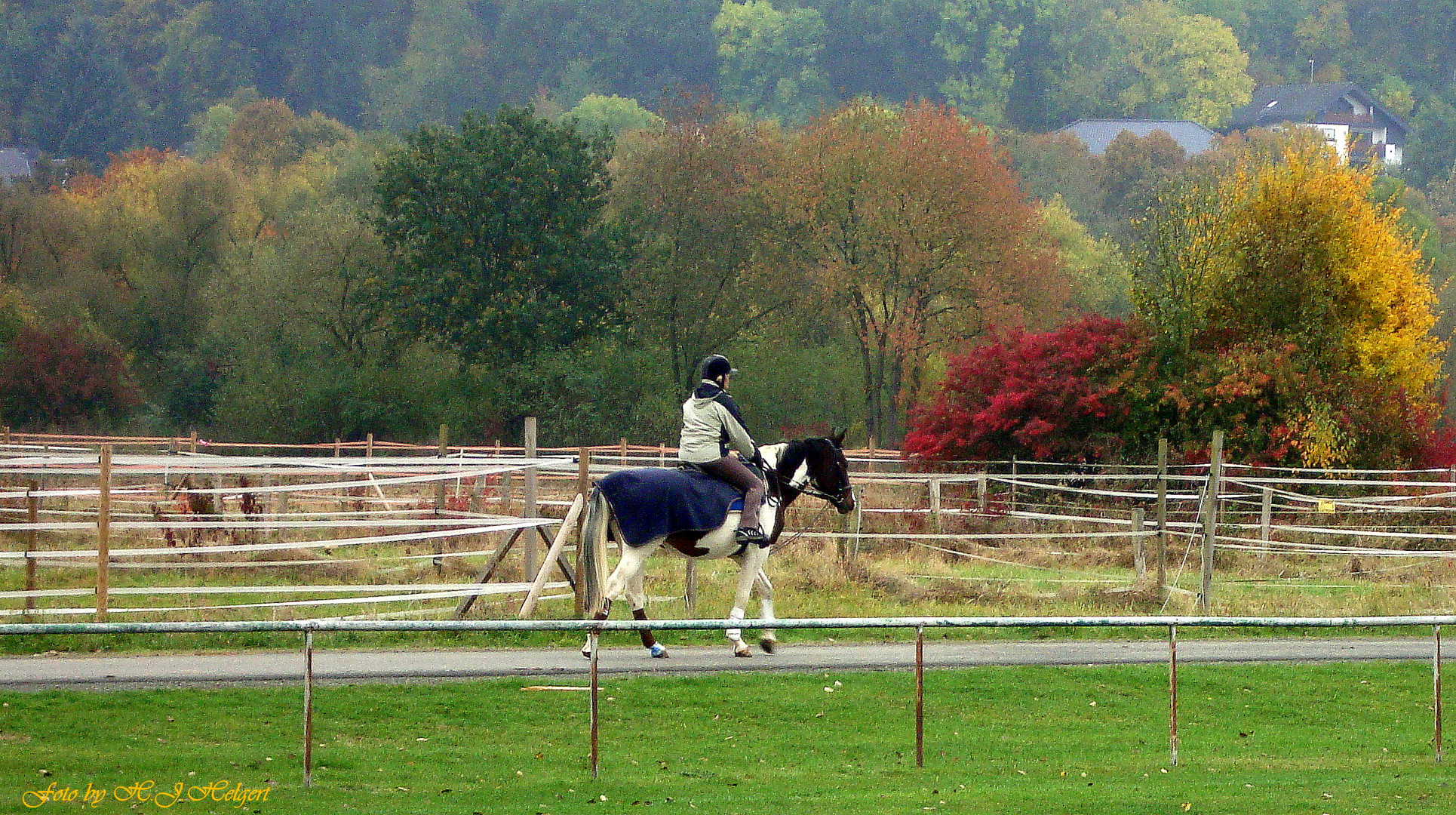 Schwarz /weiss im herbstlichen Umfeld