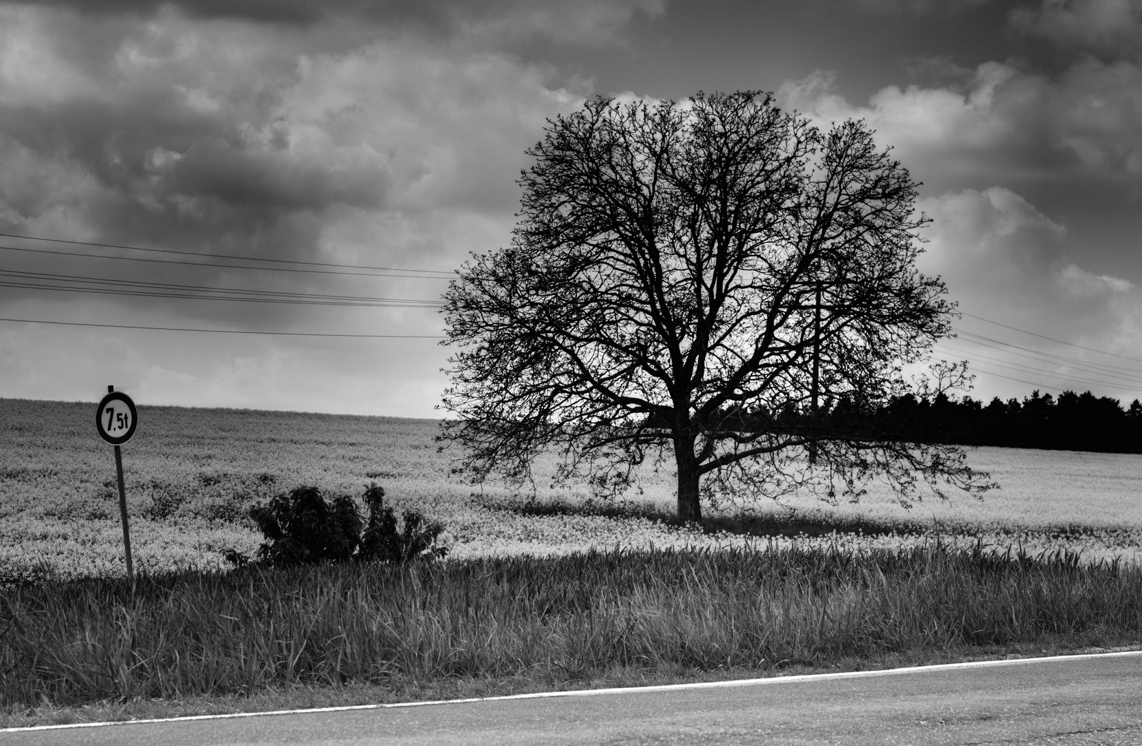 Schwarz-Weiss-Landschaft.