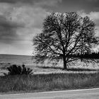 Schwarz-Weiss-Landschaft.