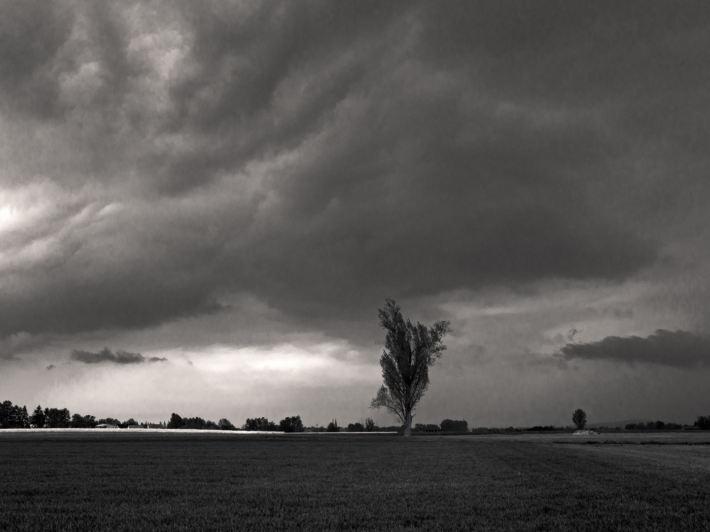 Schwarz-Weiss-Landstrich