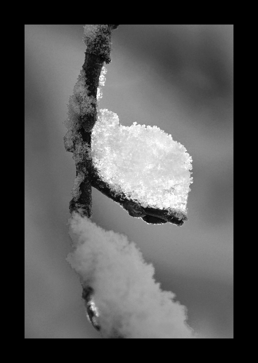 schwarz weiss licht