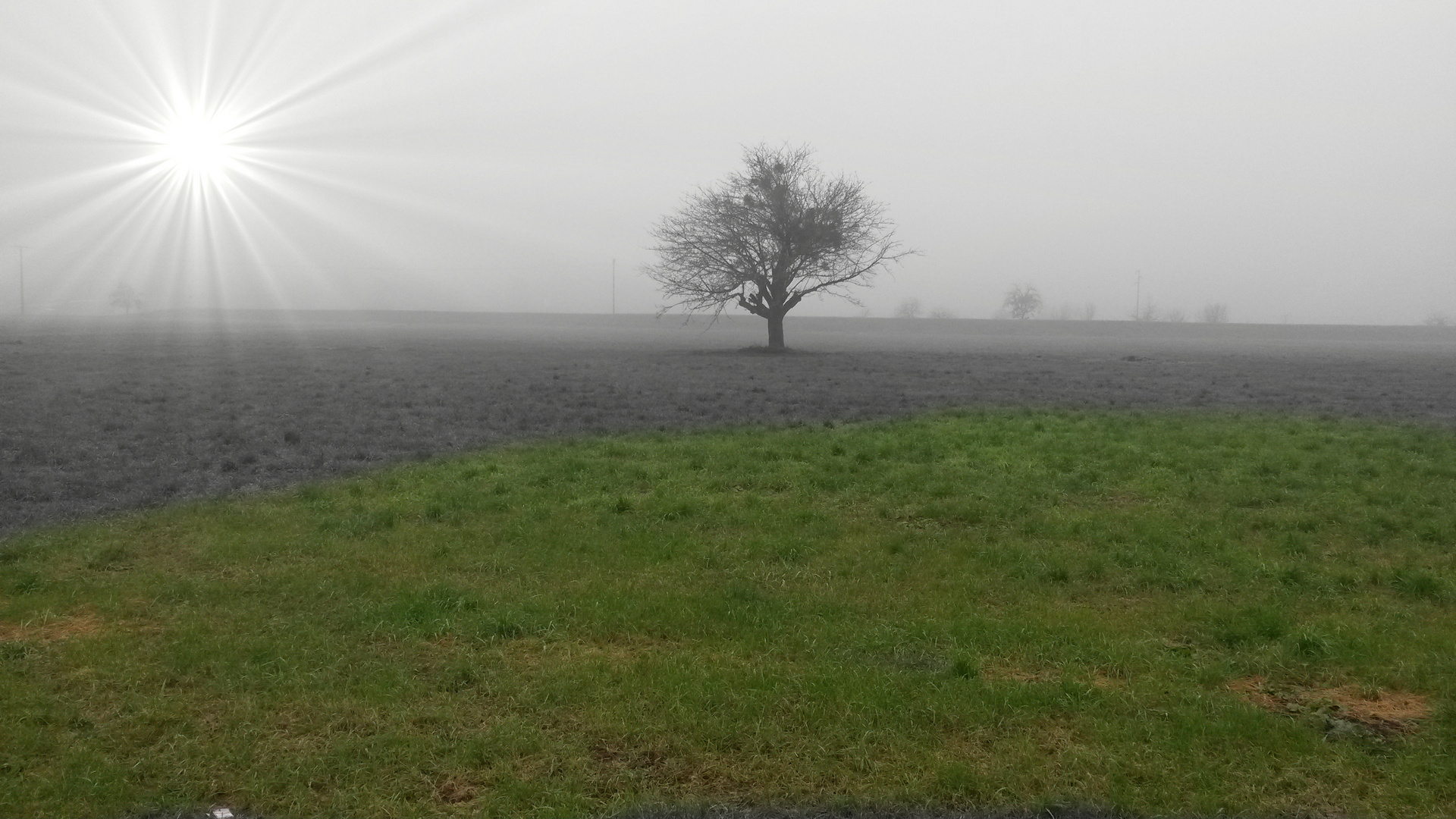 Schwarz-weiss mit Farbe Kreative Landschaft