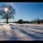 Schwarz-weiß mit viel Blau