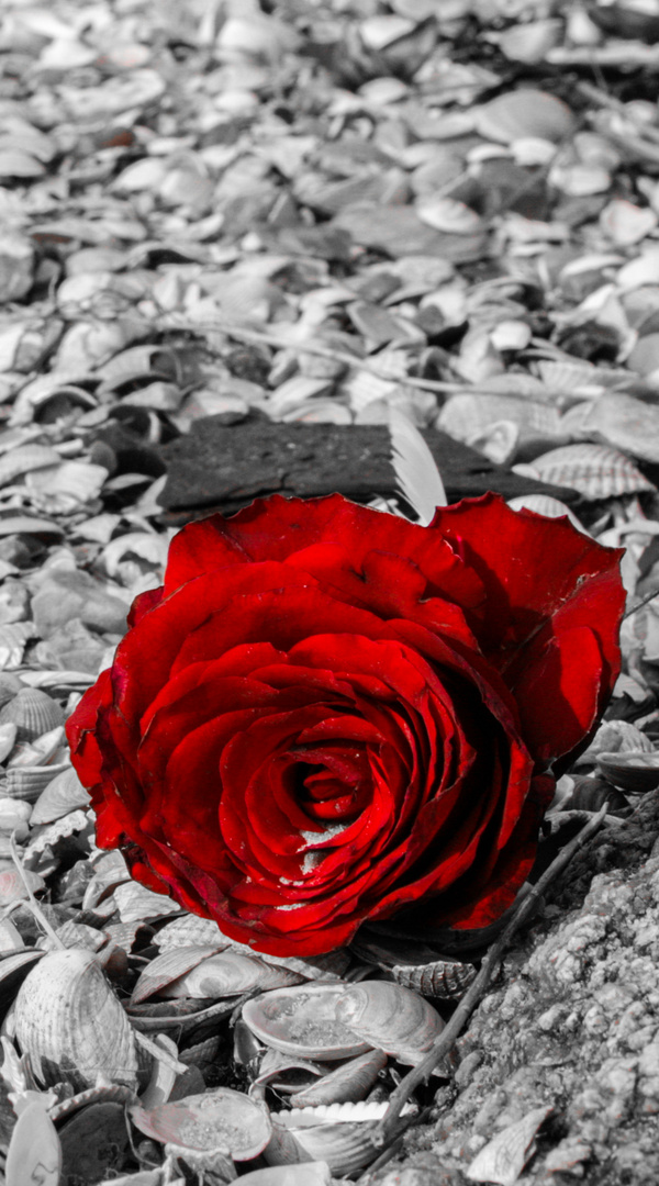 SchwarzWeißRot Foto &amp; Bild monochrom, bearbeitungs techniken