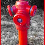 Schwarz Weiß Rot / Hydrant