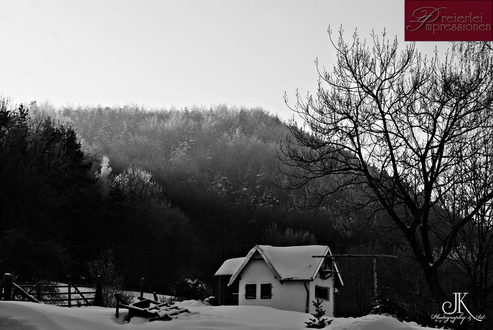 schwarz-weiß Winterspaziergang.