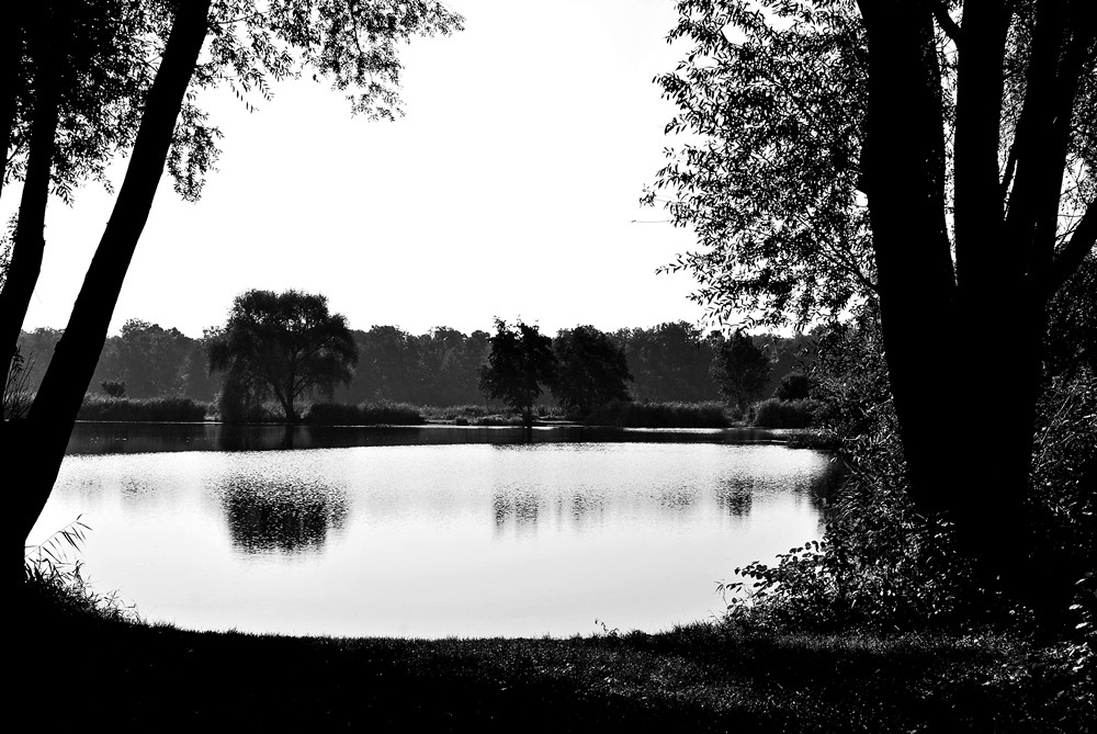 Schwarz-weiße Landschaft am See