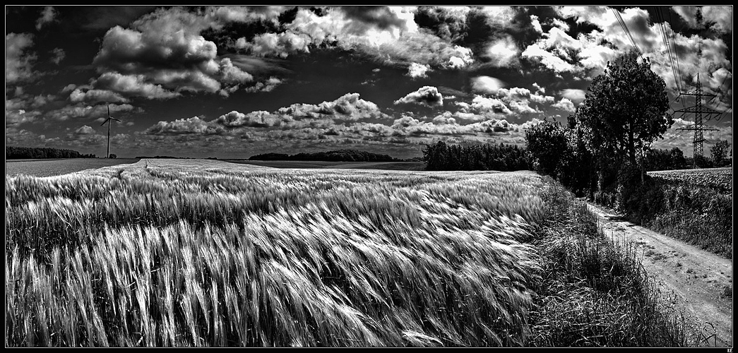 Schwarz-Weisser Wind