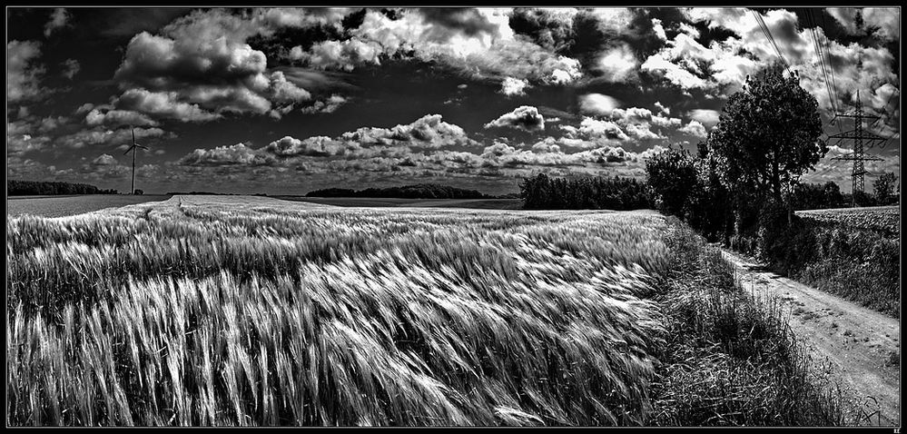 Schwarz-Weisser Wind