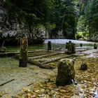 Schwarza im Höllental