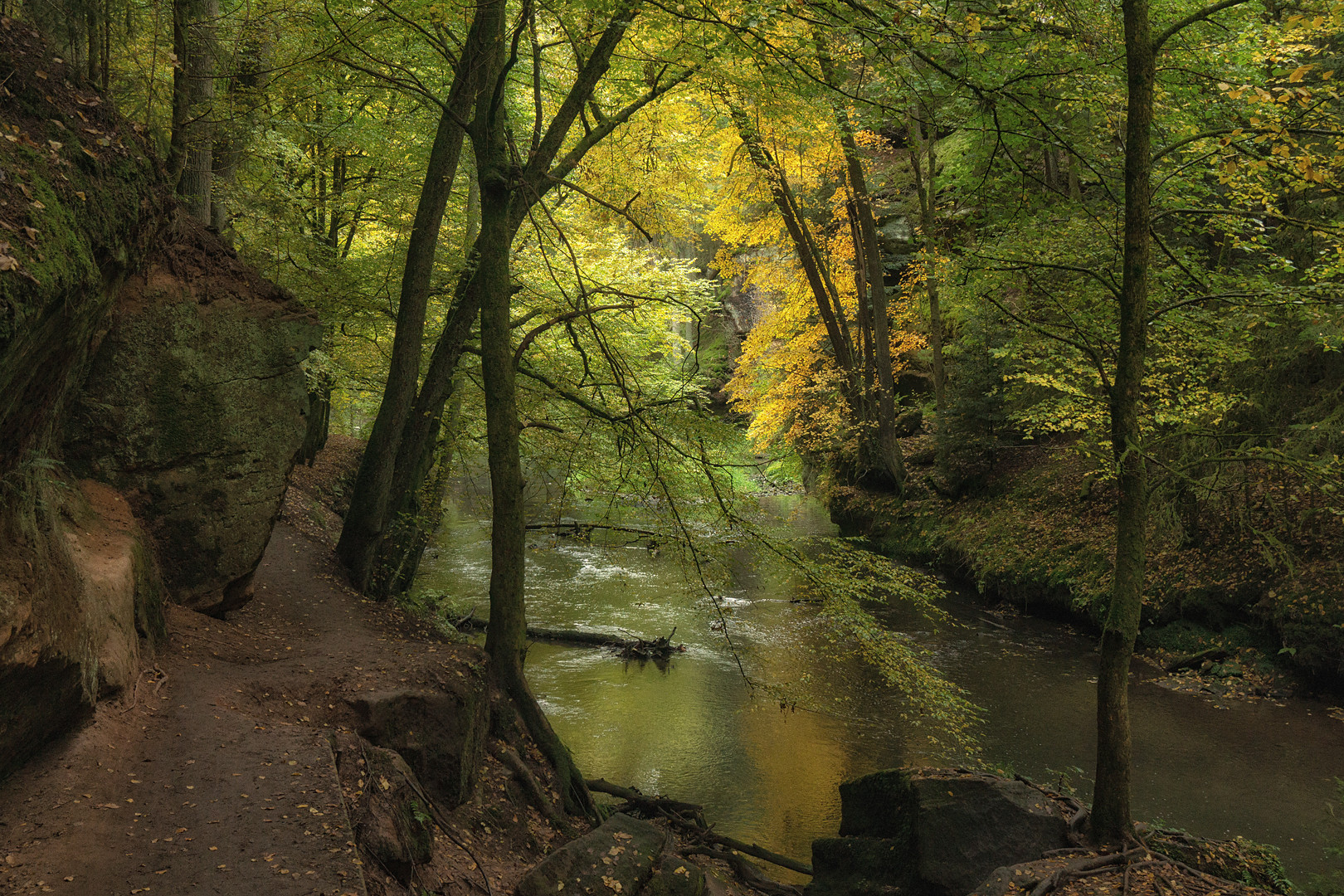 Schwarzachklamm