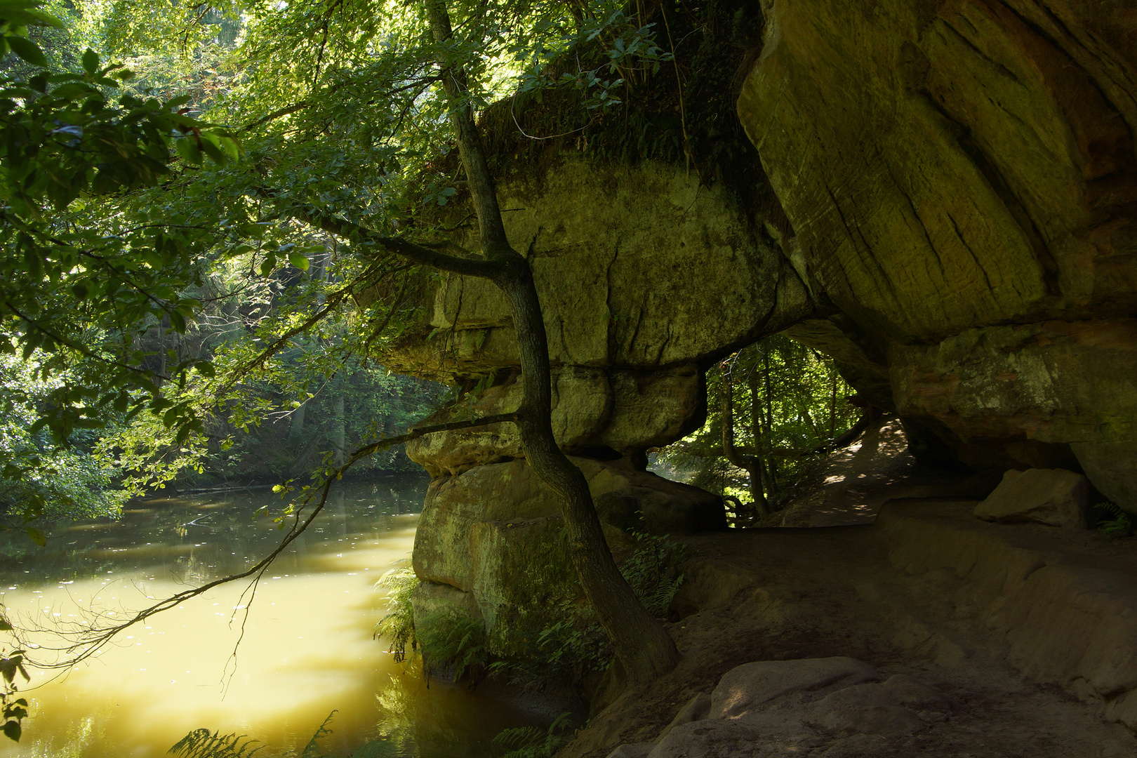 Schwarzachklamm