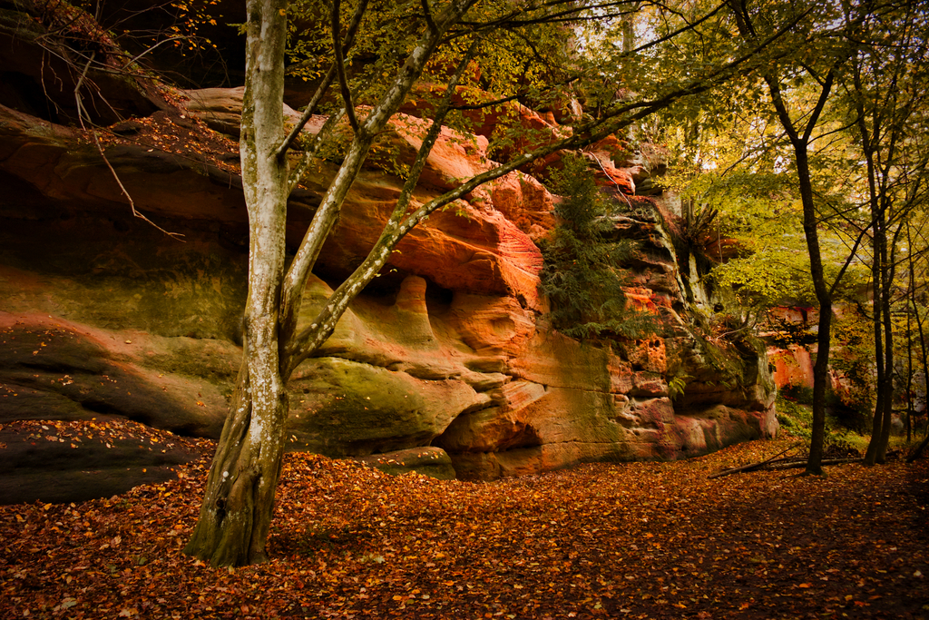 Schwarzachklamm 2