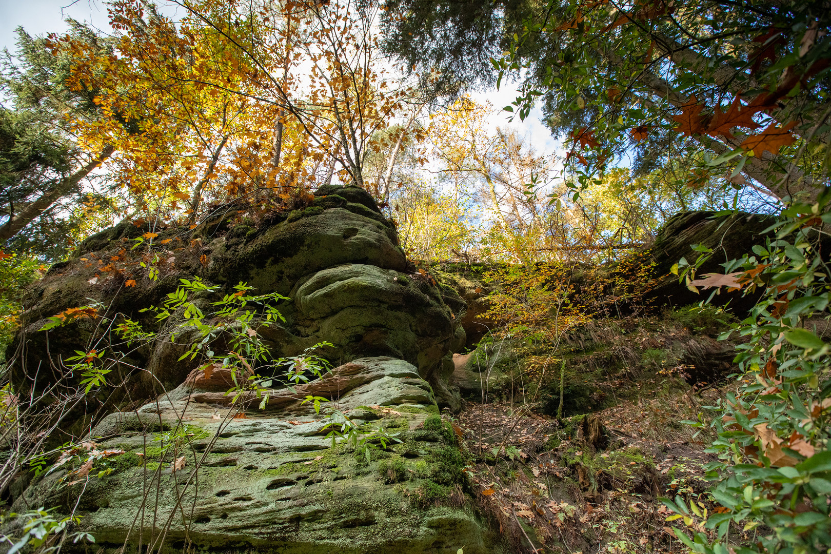 Schwarzachklamm