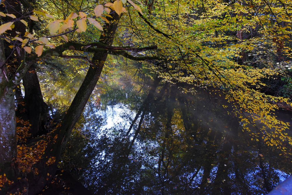 Schwarzachklamm