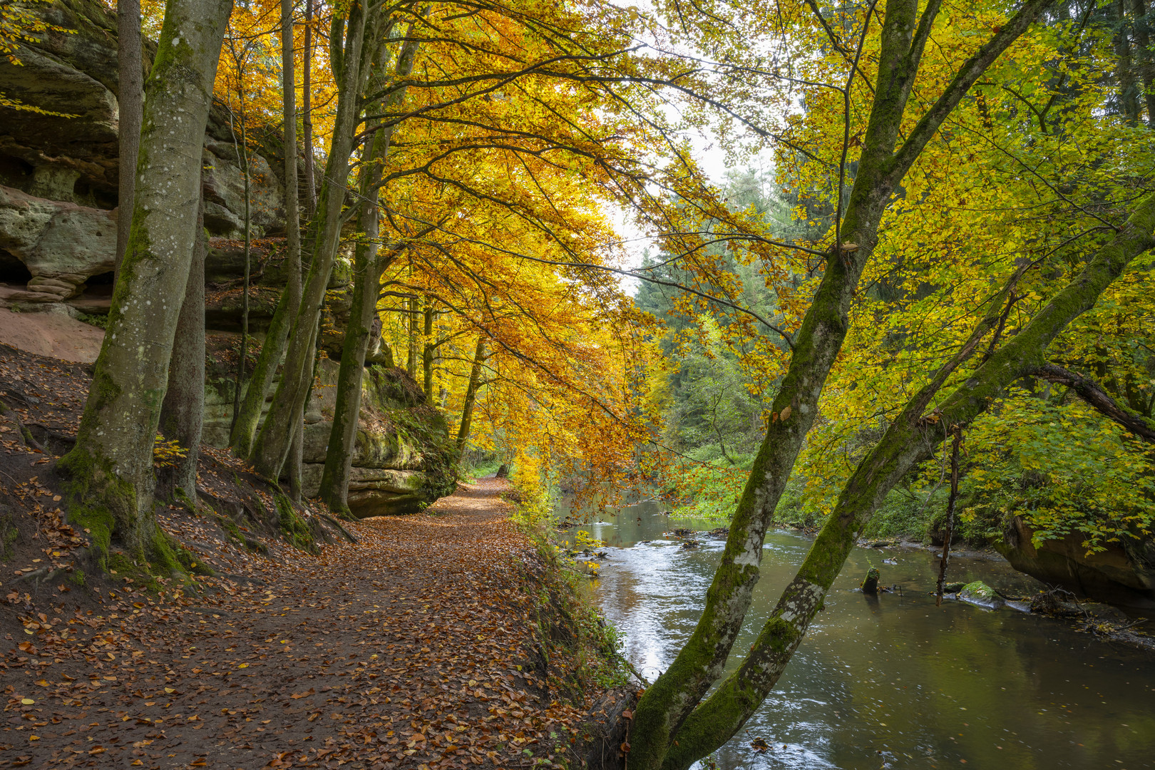 Schwarzachklamm im Goldenen Herbst