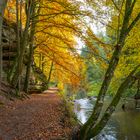 Schwarzachklamm im Goldenen Herbst