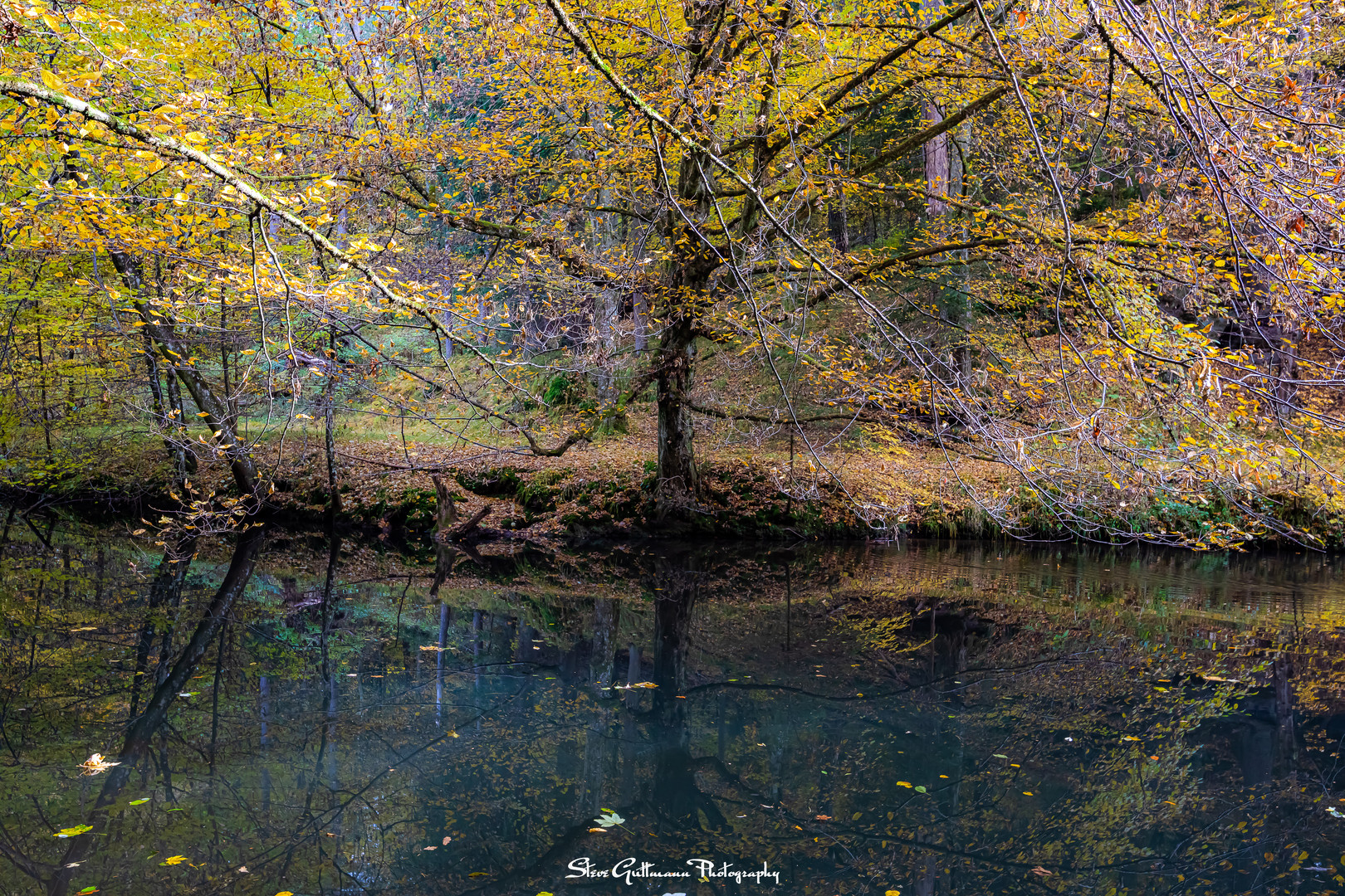 Schwarzachklamm im Herbst