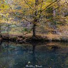 Schwarzachklamm im Herbst