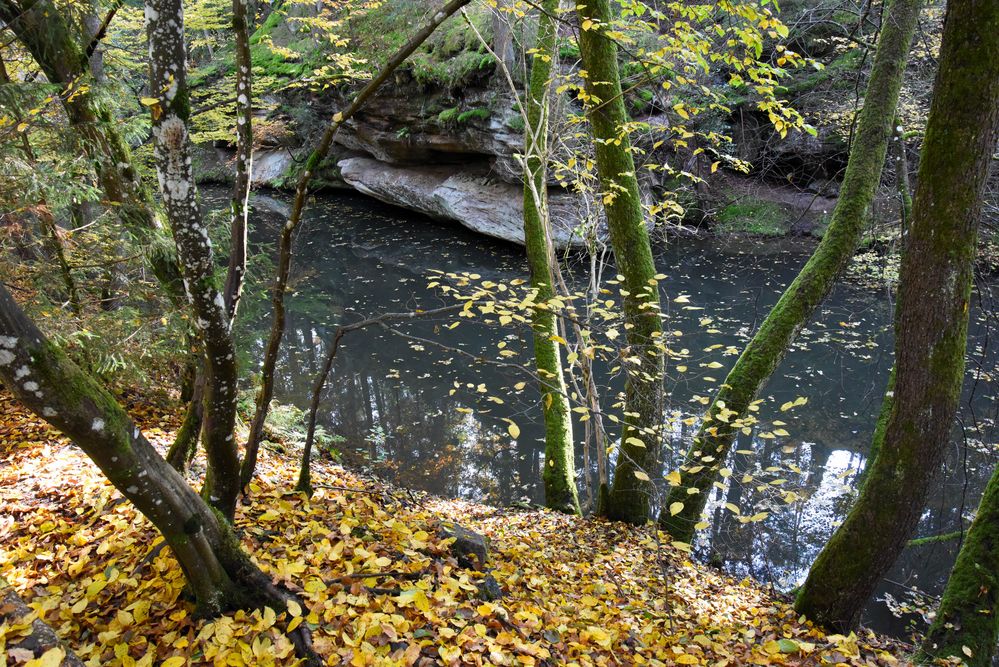 Schwarzachklamm im Herbst