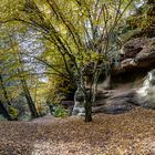 Schwarzachklamm im Herbst