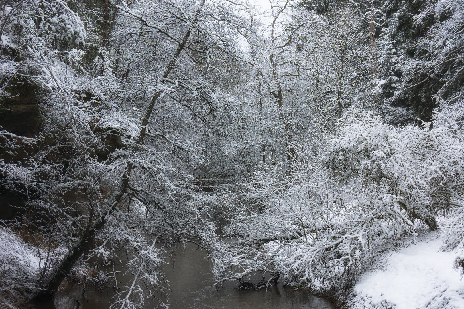 Schwarzachtal in Weiß