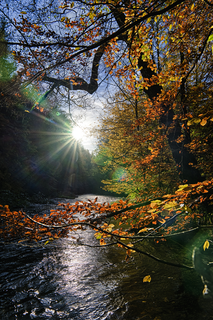 Schwarzatal im Herbst  (2)