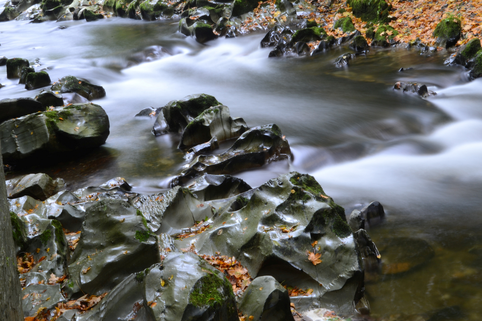 Schwarzatal in Thüringen 5