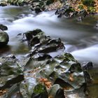 Schwarzatal in Thüringen 5