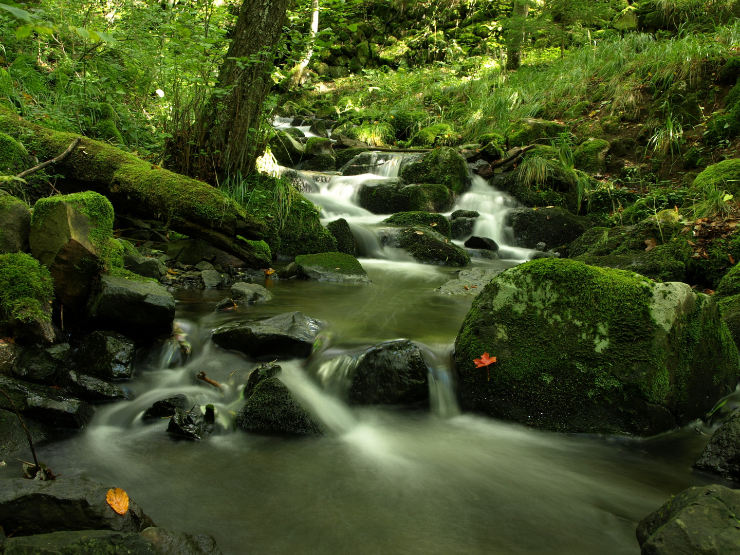 Schwarzbach / Rhön