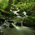 Schwarzbach / Rhön