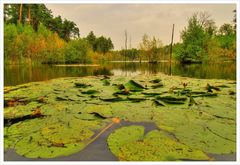 Schwarzbachsee