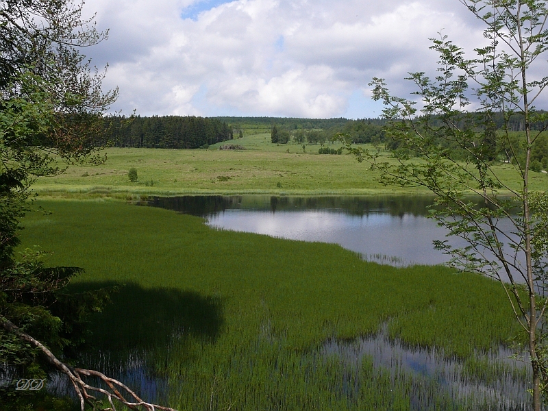 Schwarzbachsee vor dem Berger-Venn