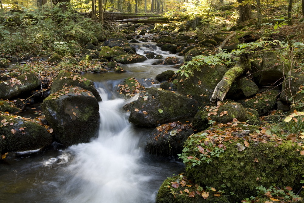 Schwarzbachtal