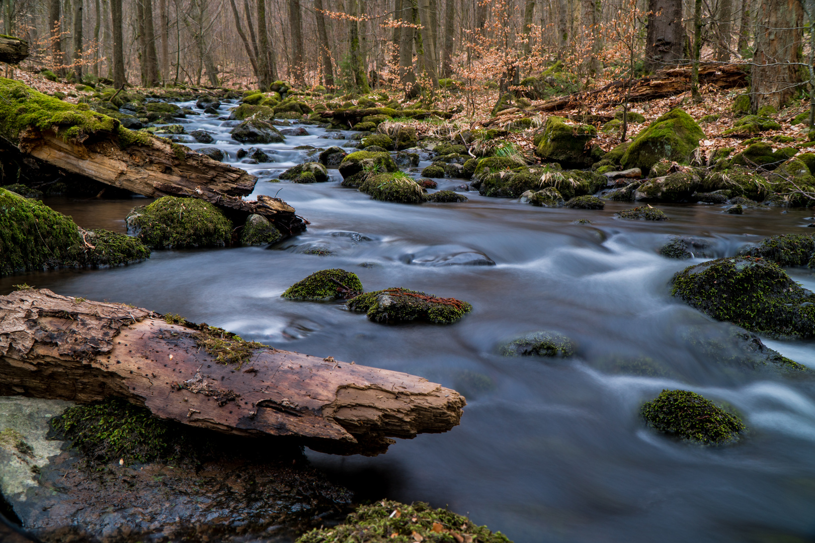 Schwarzbachtal bei Hochwaldhausen im Vogelsberg