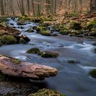 Schwarzbachtal bei Hochwaldhausen im Vogelsberg