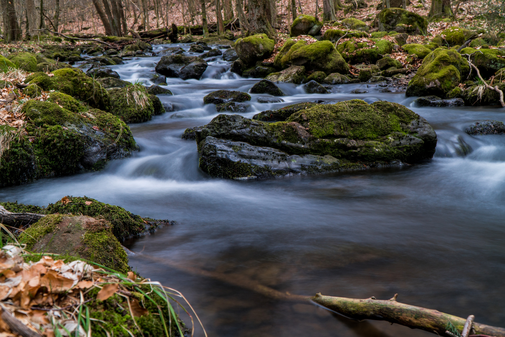 Schwarzbachtal bei Hochwaldhausen im Vogelsberg